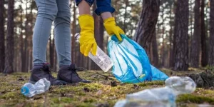 Person sammelt Plastikmüll im Wald